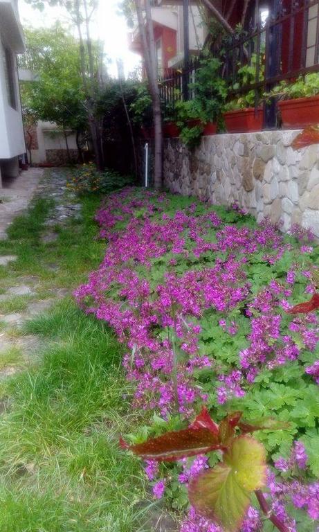 Nirvana Guest House Nesebar Esterno foto